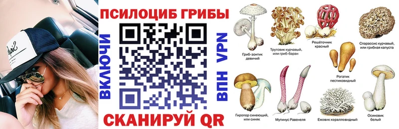 Галлюциногенные грибы мицелий даркнет сайт Карачев